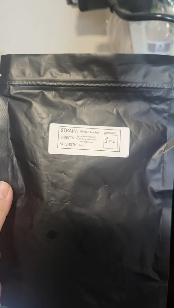 Golden Teacher Mushroom 🍄  photo 1