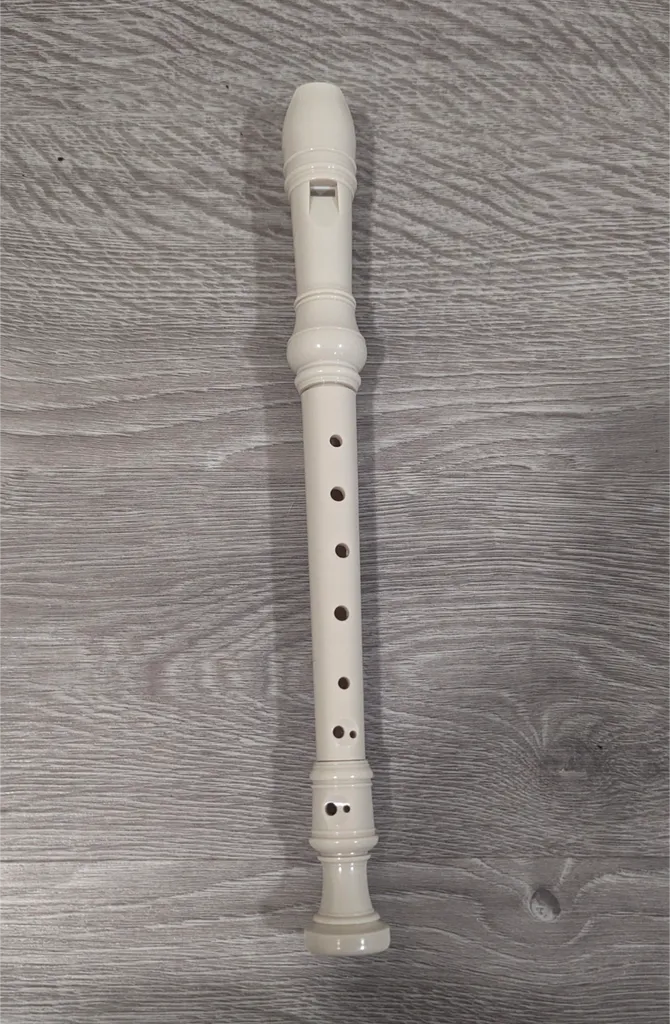 Recorder Musical Instrument photo 1