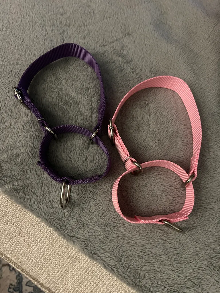2 martingale collars (small)  photo 1