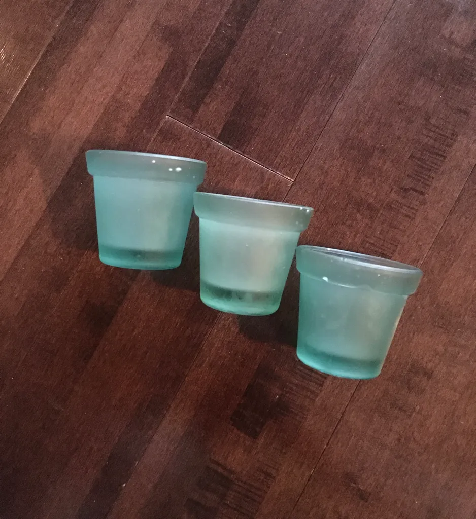 Succulent Plant Holders 🌱 photo 1