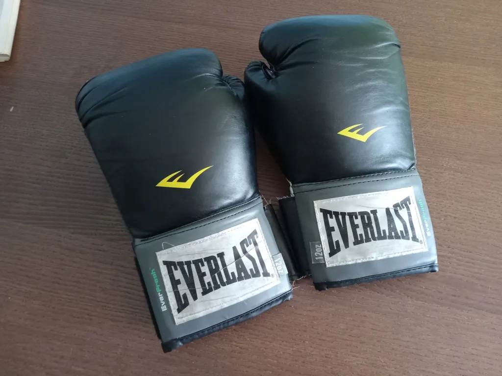 Everlast Boxing Gloves photo 1