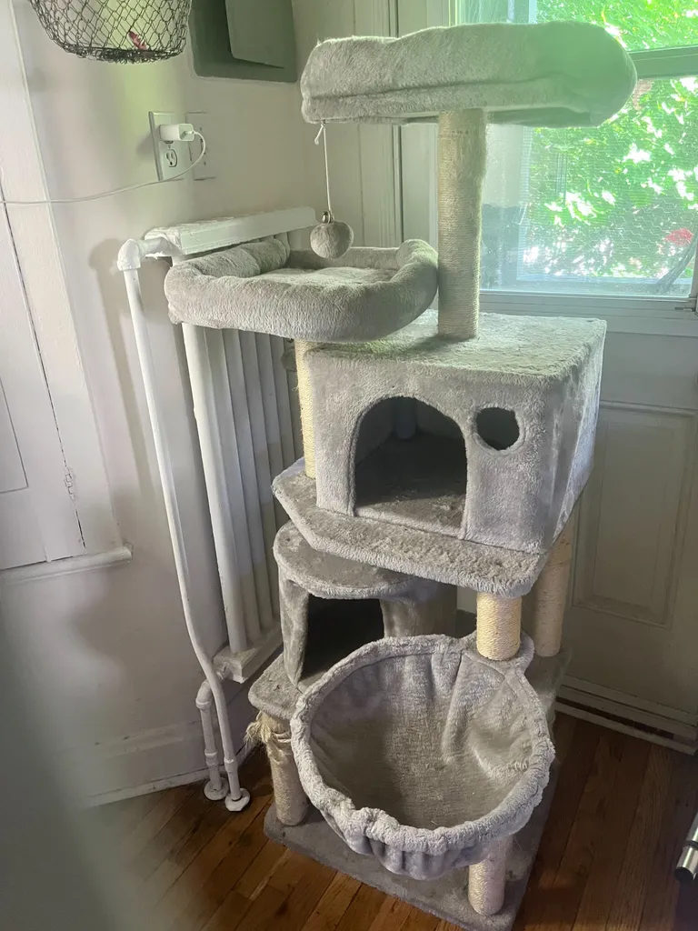 Cat condo photo 1