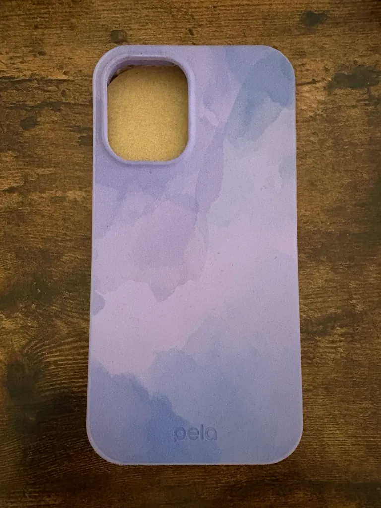 iPhone 16 Pela Phone Case photo 1