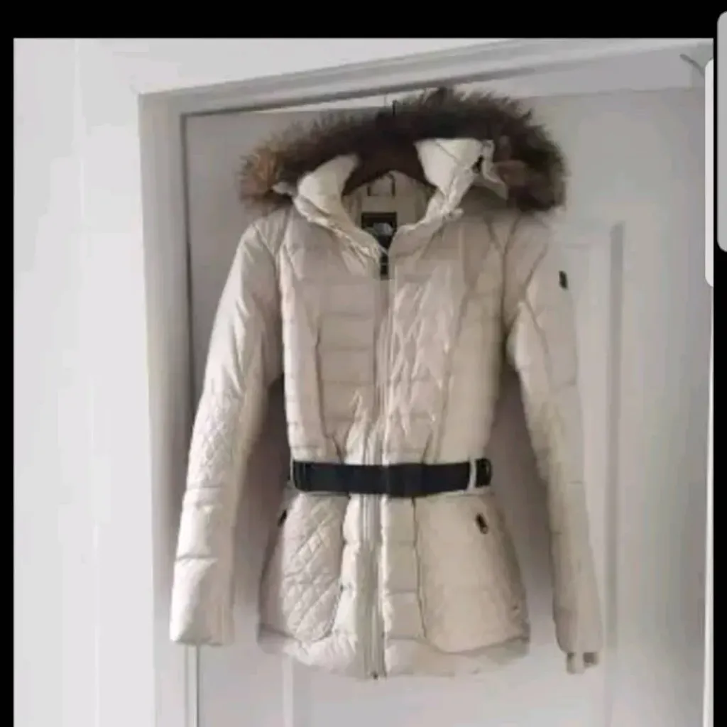North Face Winter Coat . photo 1
