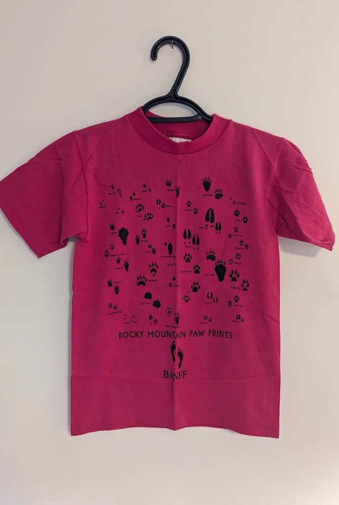 Cityscape T-Shirt - Banff Rocky Mountain - Youth Size Small photo 1