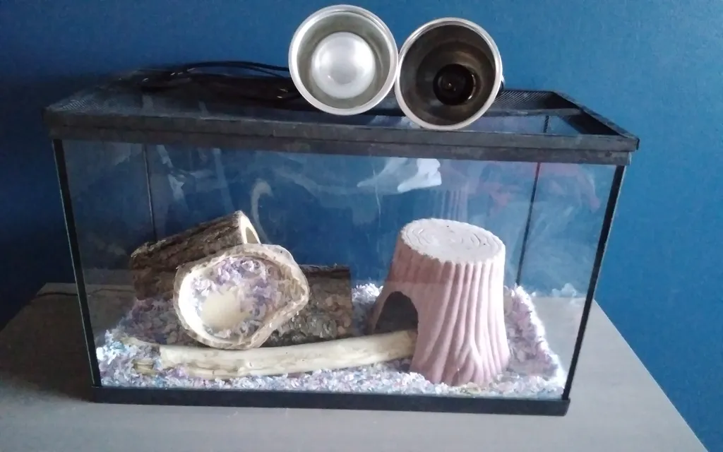 Reptile tank with accessories 
 photo 1