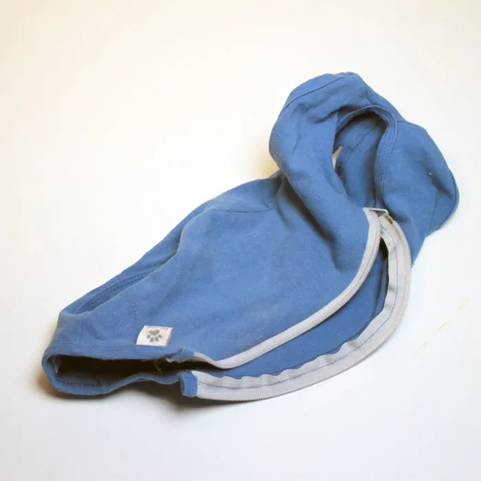 Small Dog Track Suit photo 1