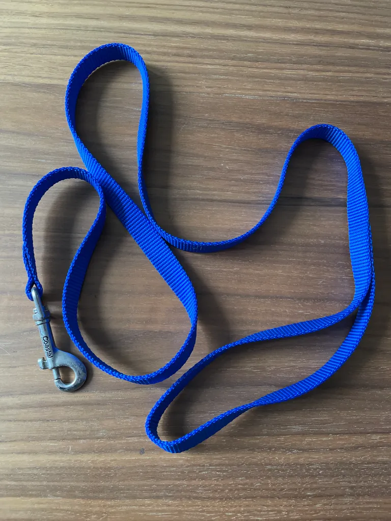 Leash
 photo 1