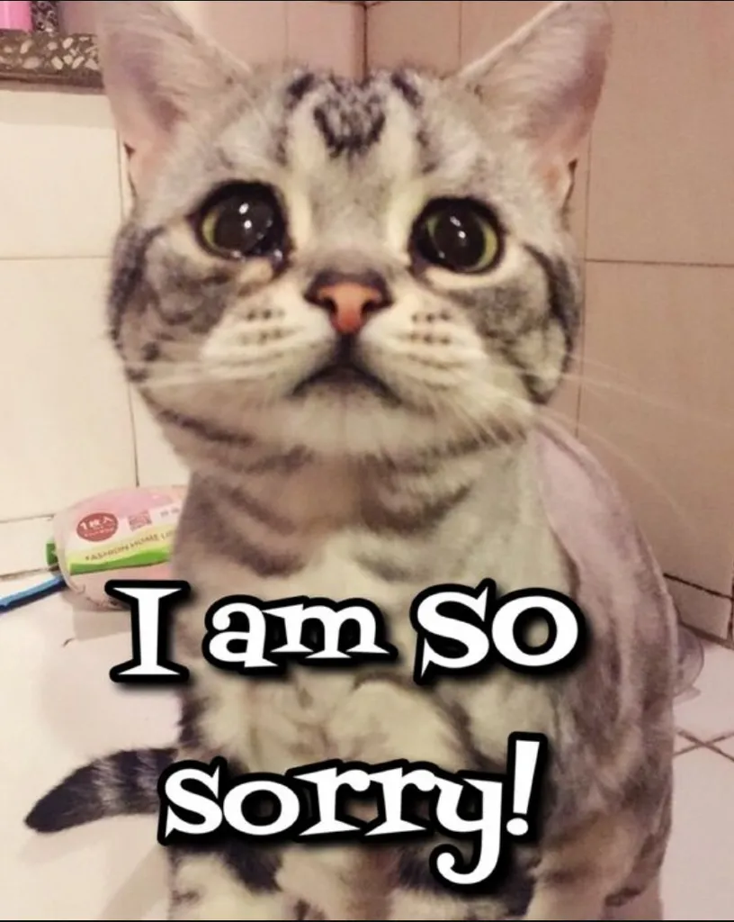 Connexion problem photo 1