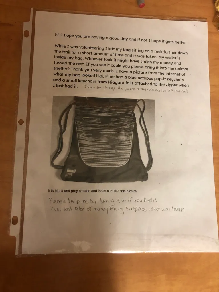 In search of my bag photo 1