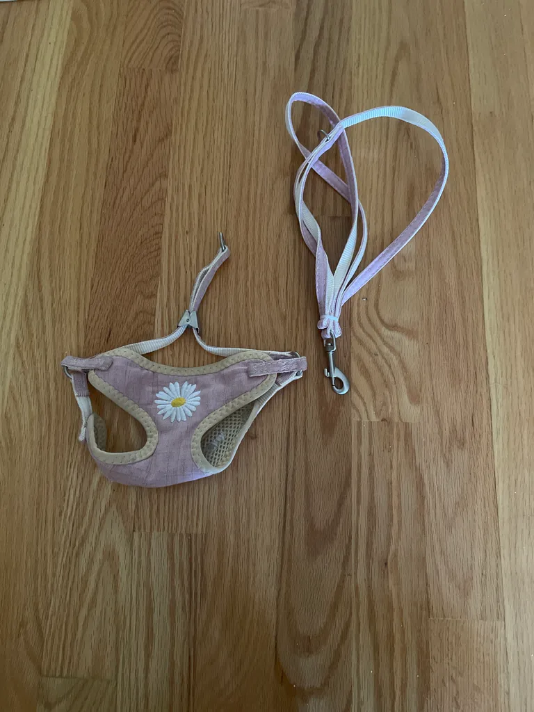 Dog harness and leash set photo 1