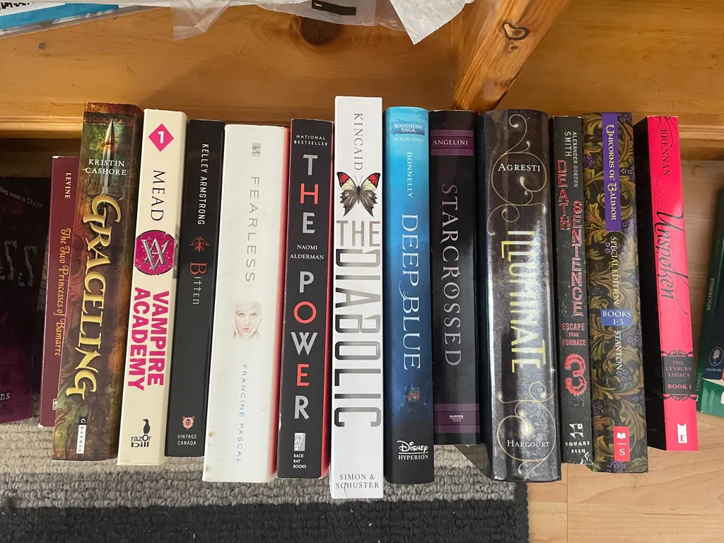 Bulk YA books photo 1