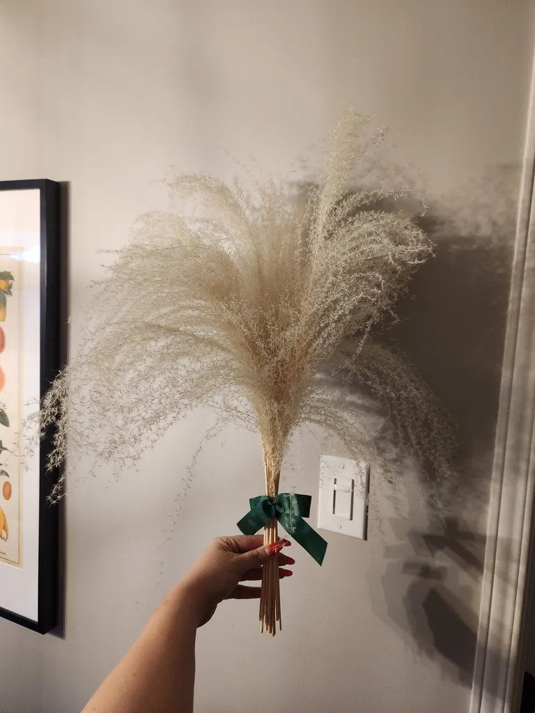 Real White Pampas Grass (NEW) photo 1