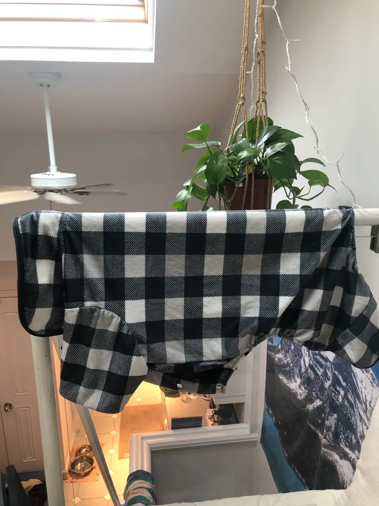 Dog sweater/coat  photo 1