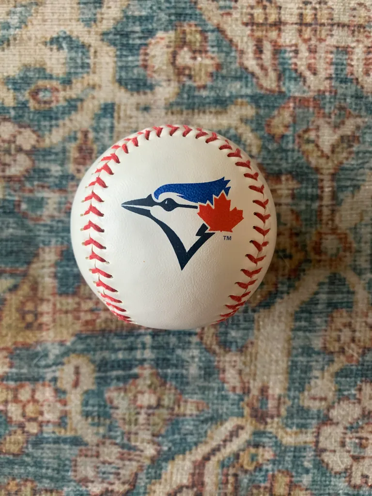 Blue Jays Baseball photo 1