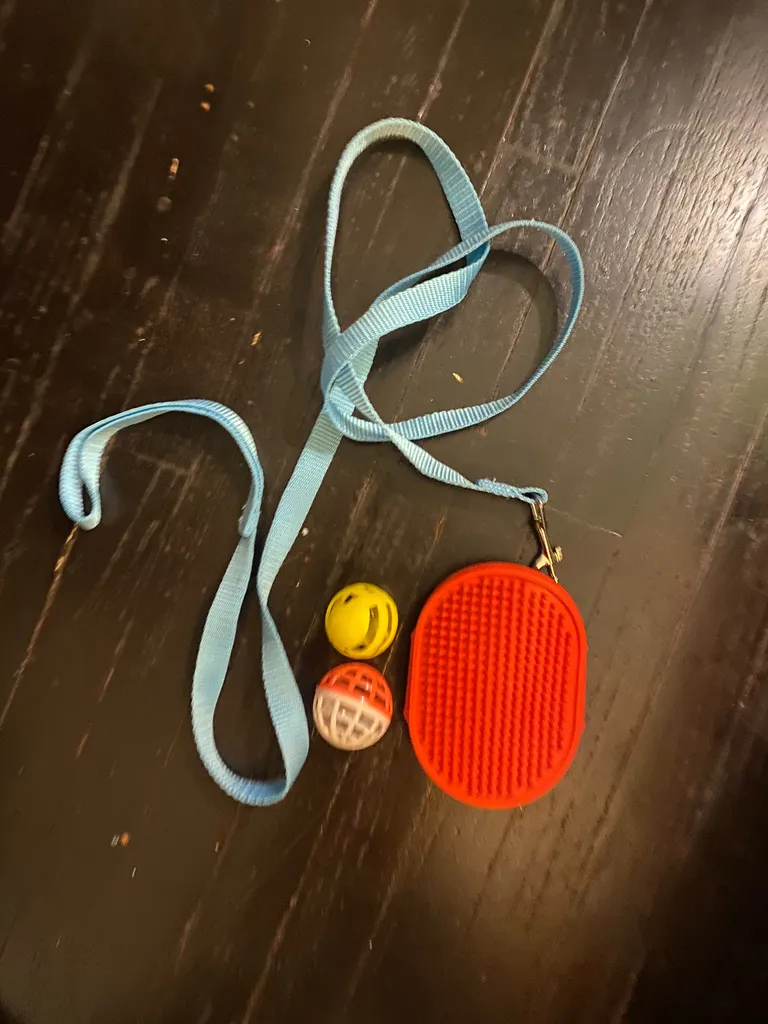 Variety of FREE cat items  photo 1