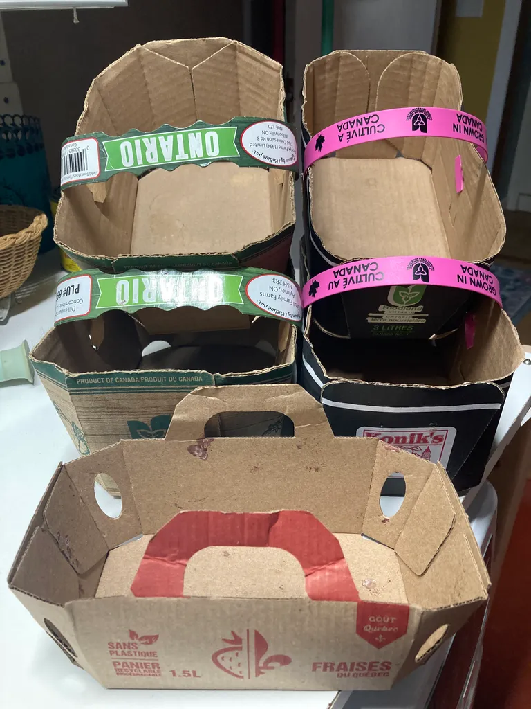 FREE Produce Baskets  photo 1