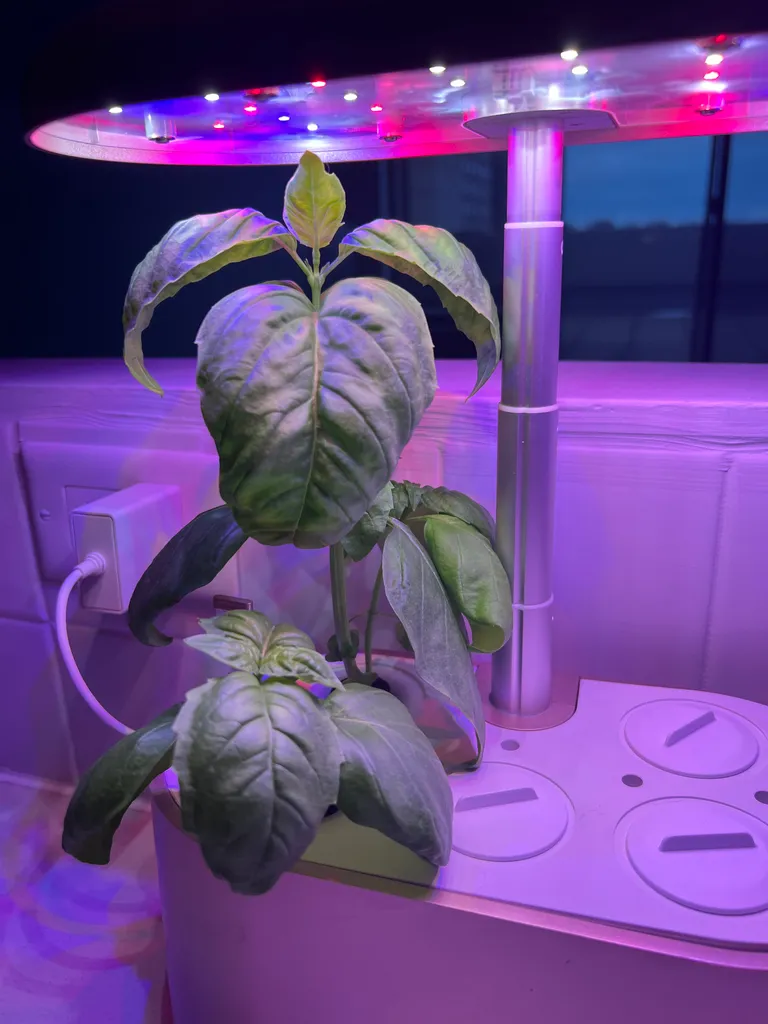 Inbloom Smart Garden photo 1