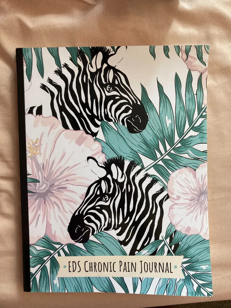 EDS chronic pain journal photo 1