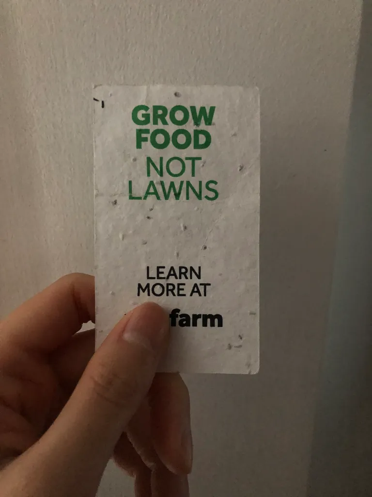 Lettuce/Greens Seeds photo 1