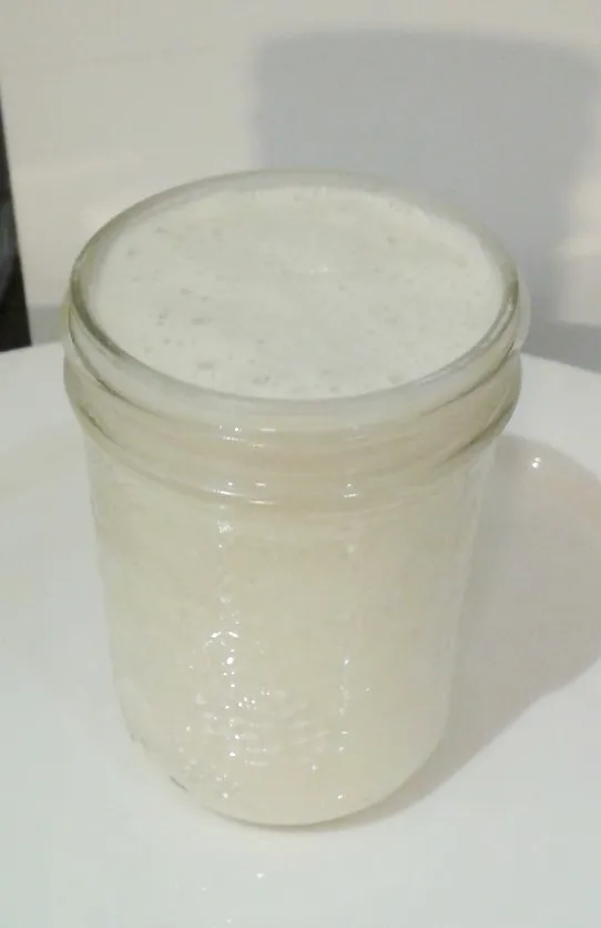 Hardy Sourdough Starter photo 1
