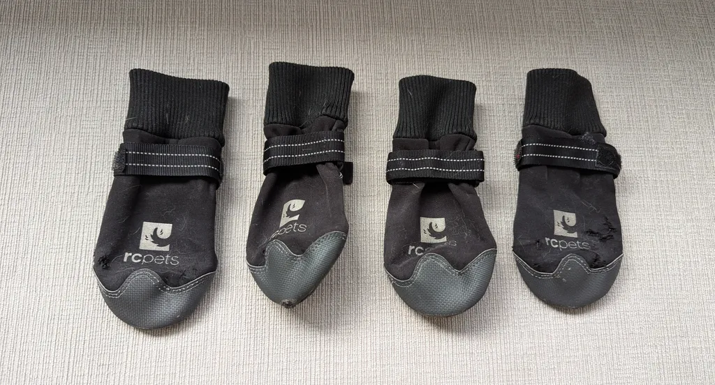 Four Dog Boots (Used) photo 1