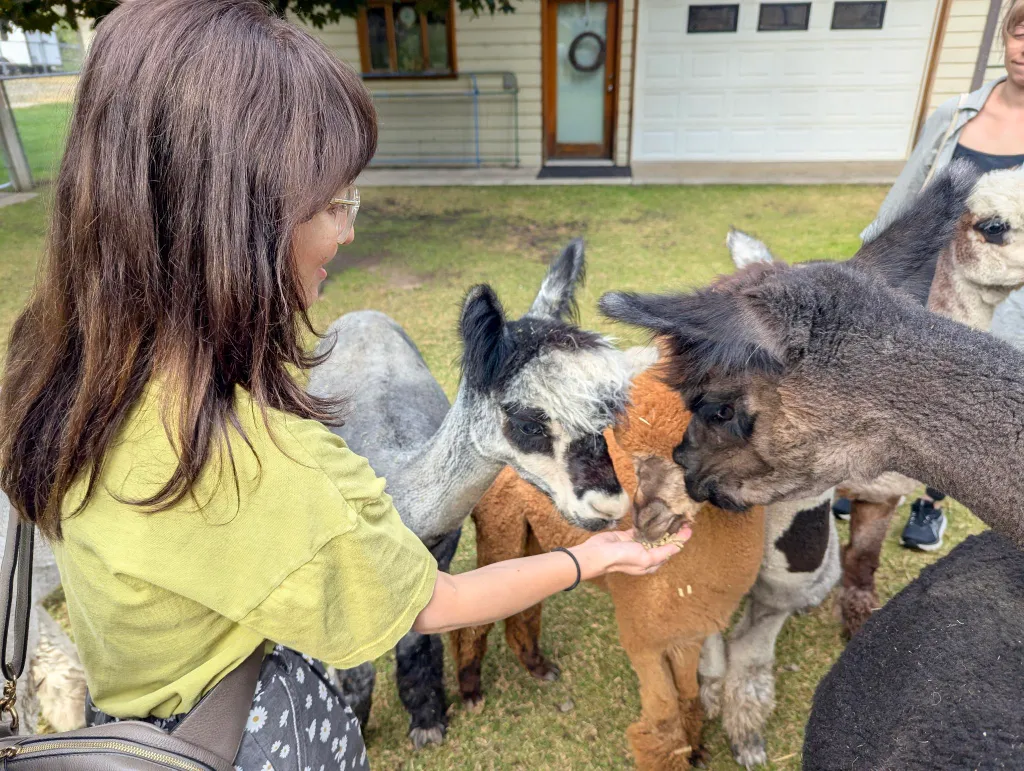 Looking for trades! photo 1