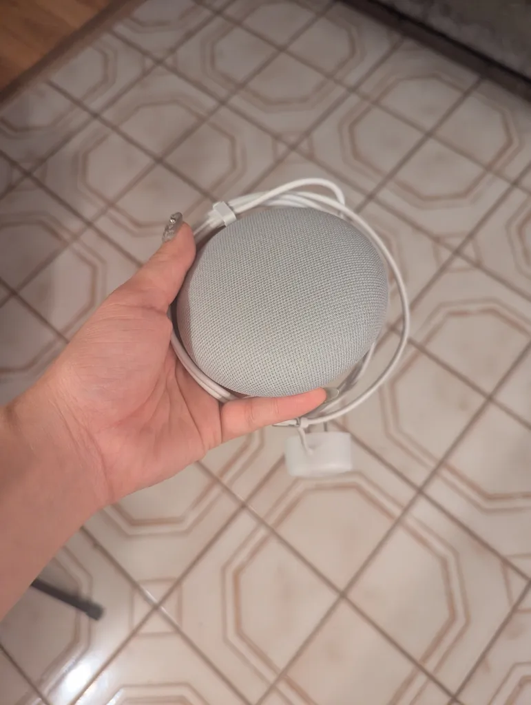 Google home photo 1