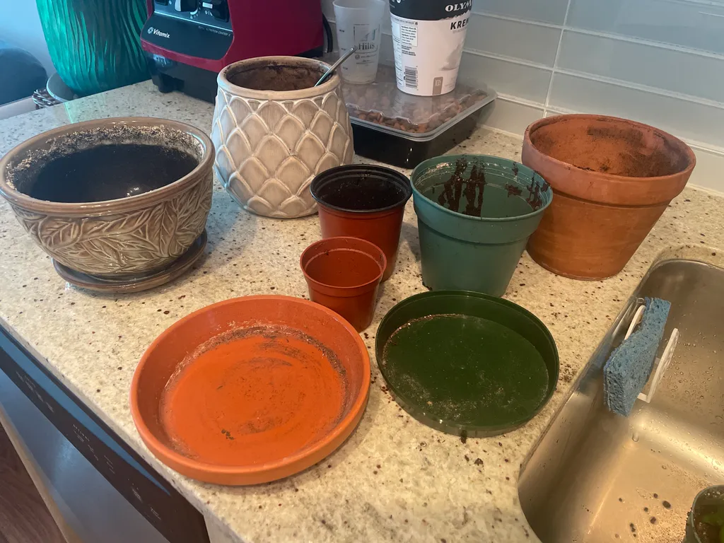 Various plant pots and saucers  photo 1
