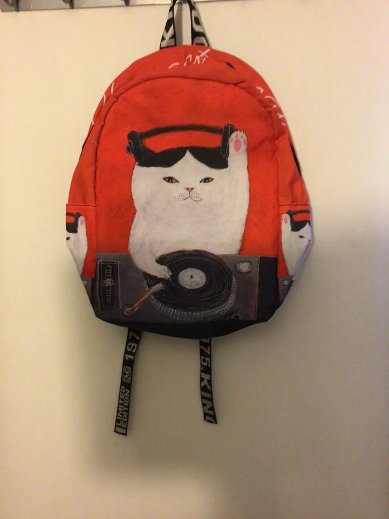 DJ Cat backpack photo 1