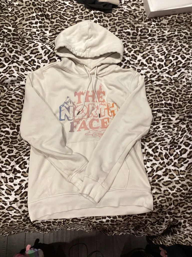 The north face Hoodie photo 1