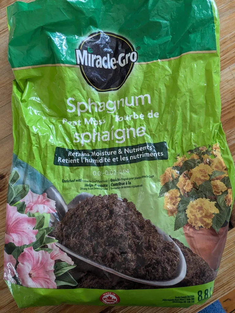 Peat Moss Sphagnum  photo 1