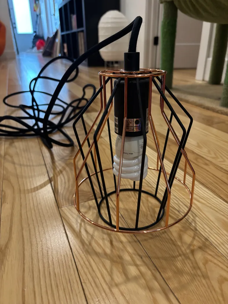 Light fixture w/ Cord photo 1