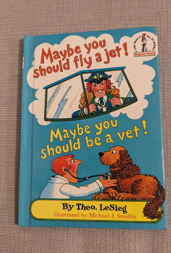 Maybe You Should Fly a Jet! Beginner Book photo 1