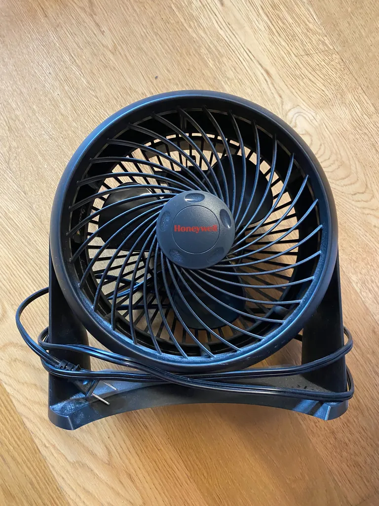 small black fan photo 1