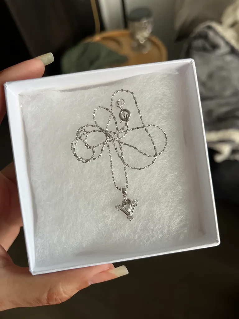 New silver necklace photo 1