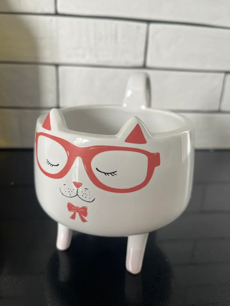 Cat mug / bowl  photo 1