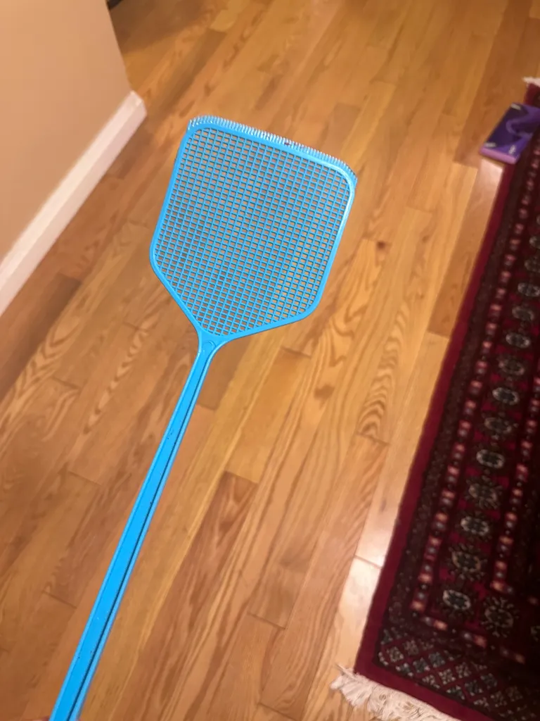 Fly Swatter photo 1