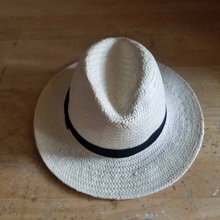 Summer Straw Hat photo 1