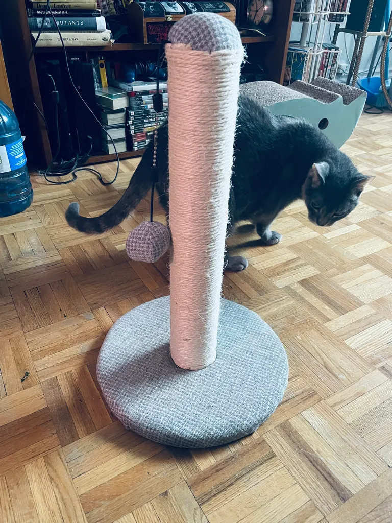 Cat scratching post photo 1