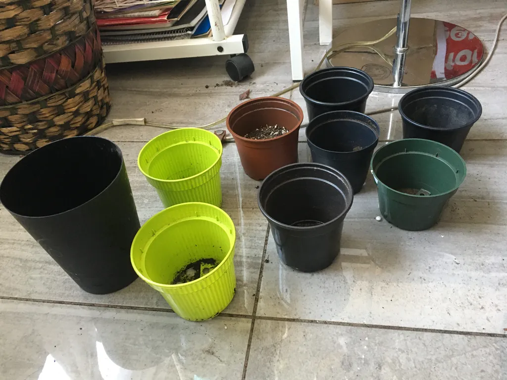 pots to trade / give photo 1