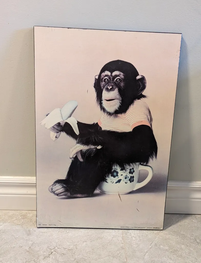 Chimpanzee Art Print (Home Decor) photo 1