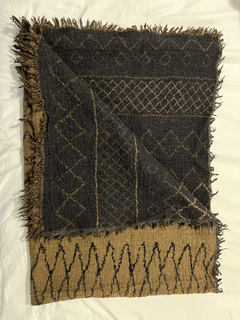 Aritzia Wilfred Scarf photo 1