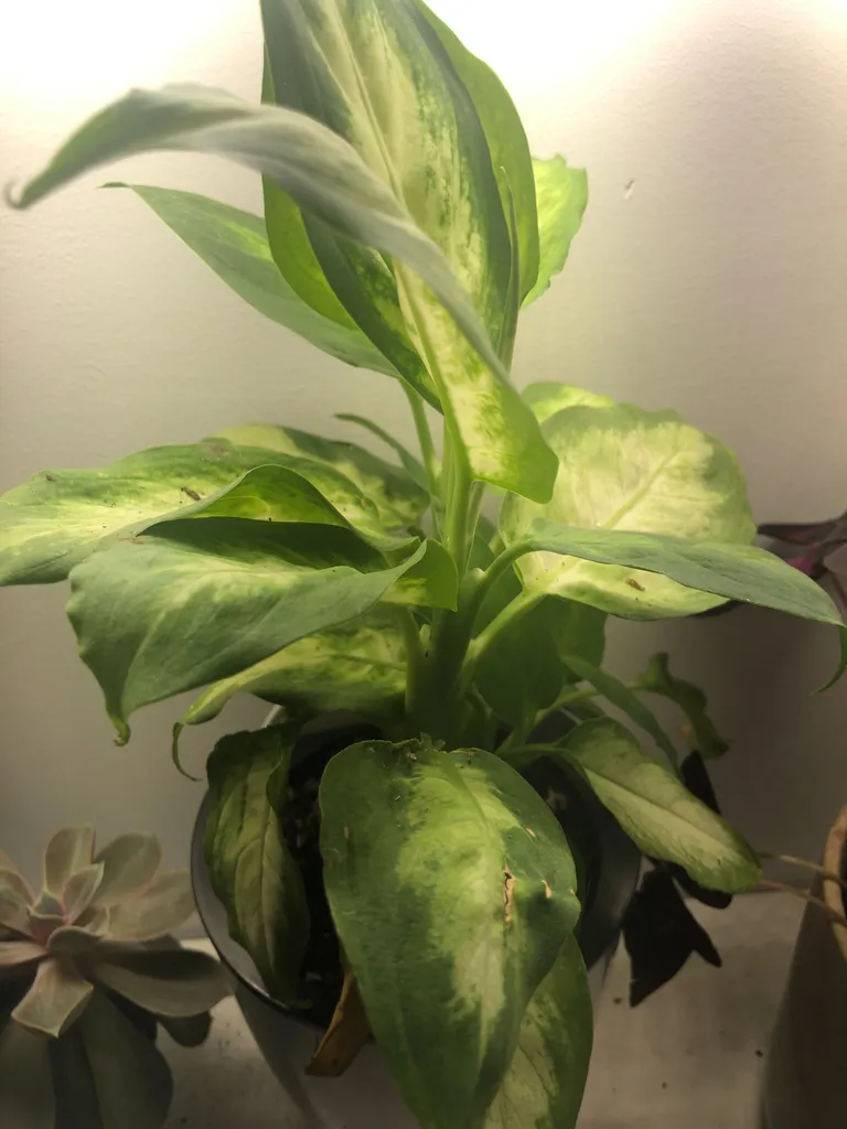 Plants! 🌱🌿 photo 1