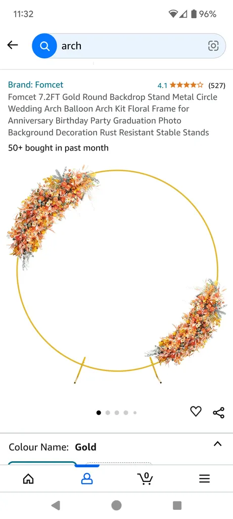 Baloon  Arch  photo 1