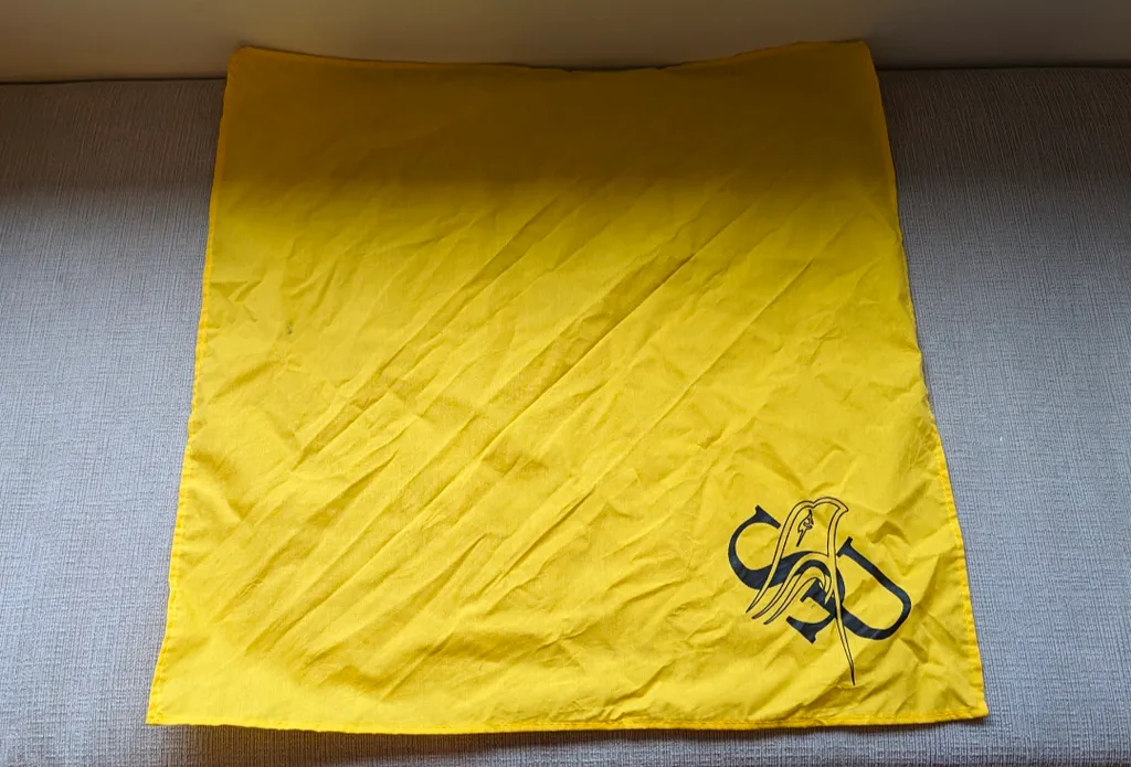 Brand New Yellow Bandana photo 1