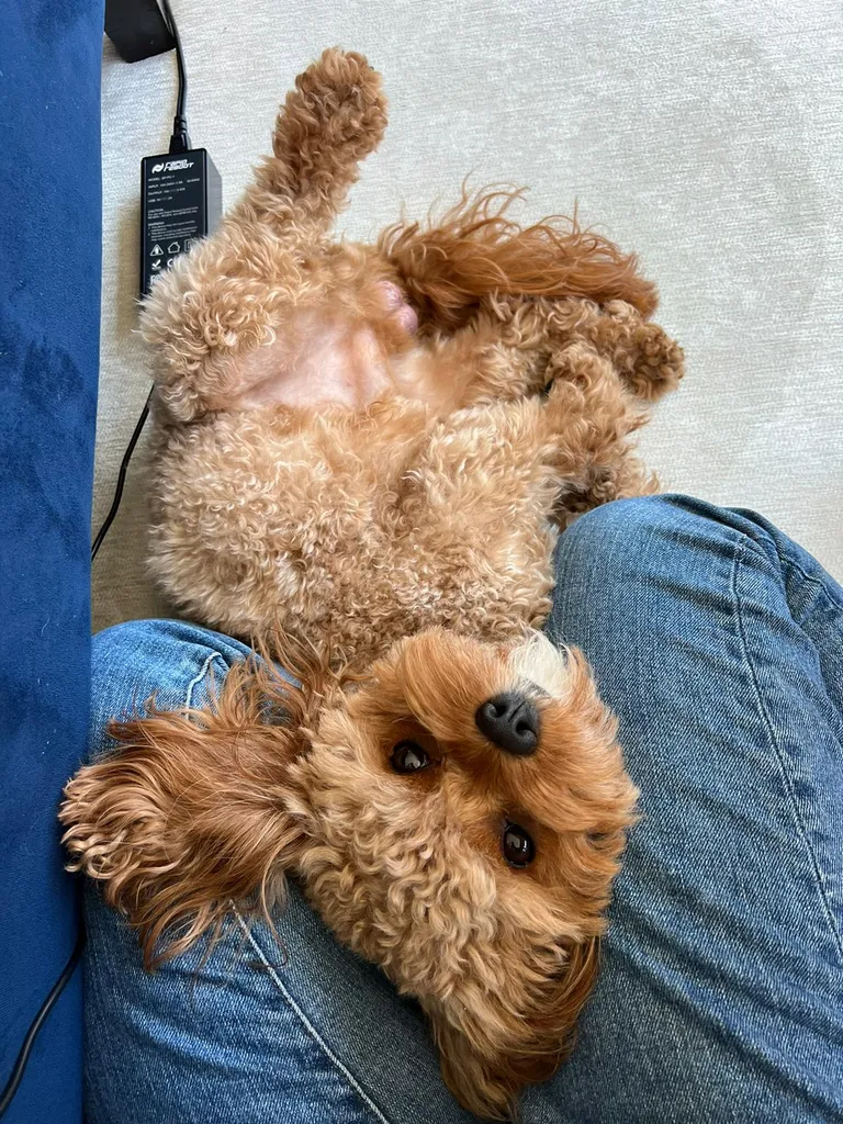 Palz trade!!  photo 1