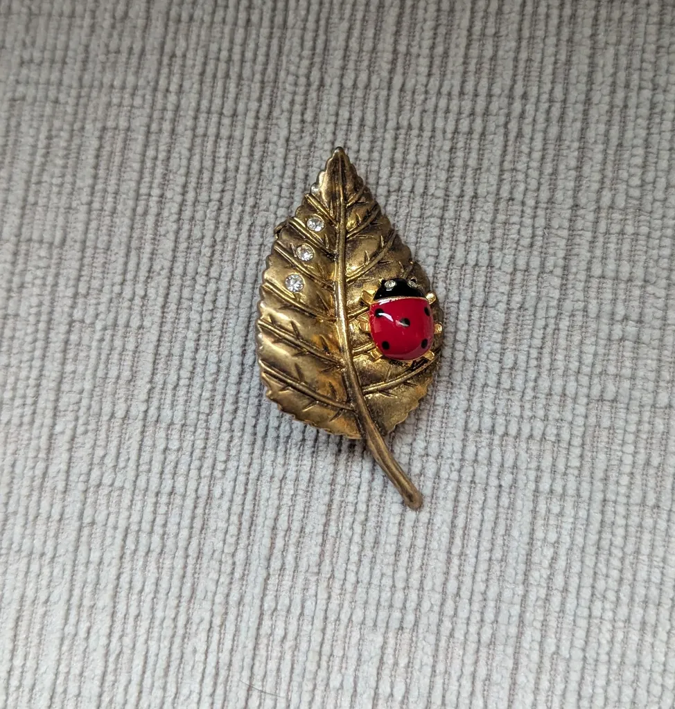 Leaf & Ladybug Brooch photo 1