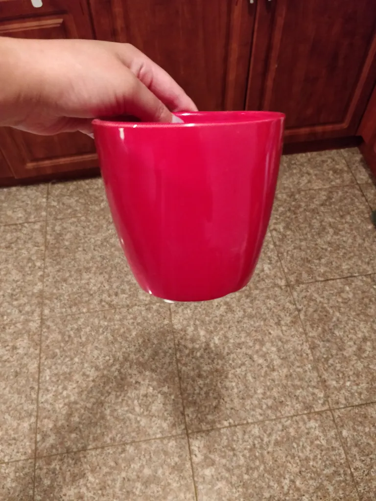 Red plant pot photo 1