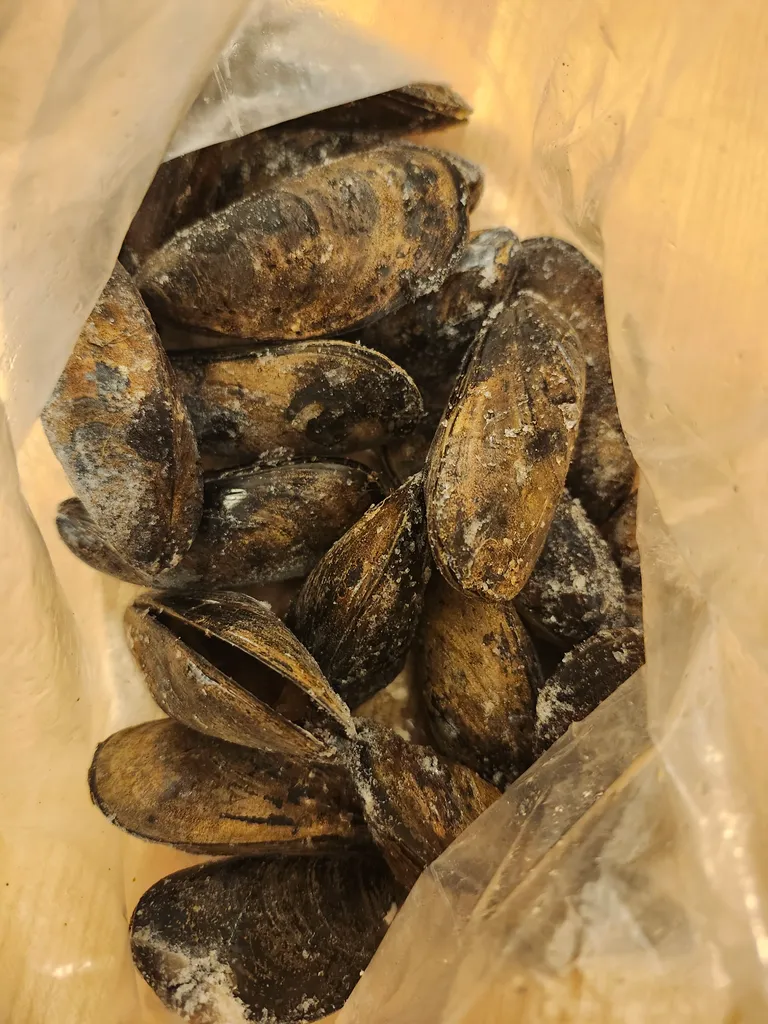 Frozen mussels  approx 1LB photo 1